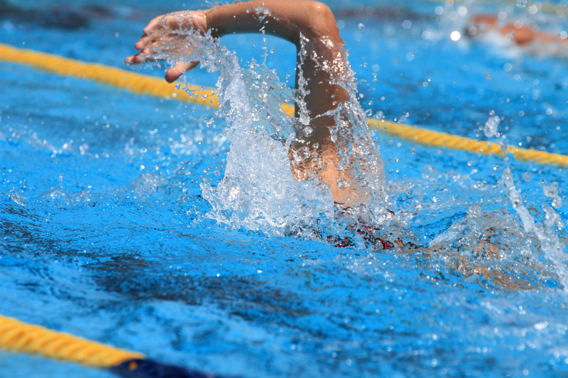 世界水泳15の競泳代表選手 試合日程